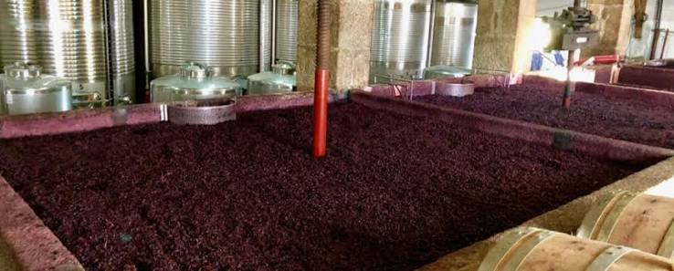 How Do You Control Temperature During Fruit Wine Fermentation?